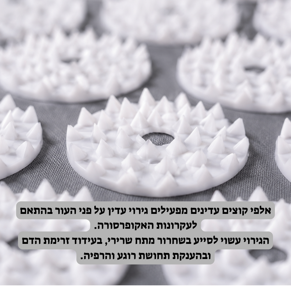 Sylvar RELIEF™-הרפיה והקלה טבעית ב-15 דקות ביום